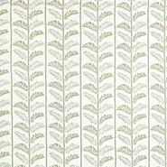 Plumier (NCF4462-03)